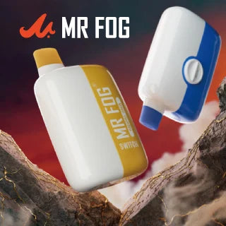 mr fog switch 5500